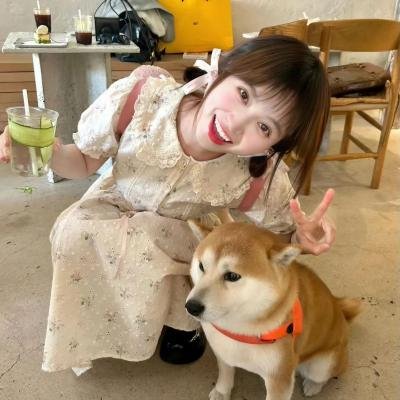 绮梦之旅