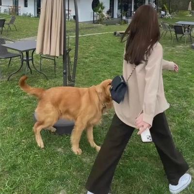 霸王贵妃